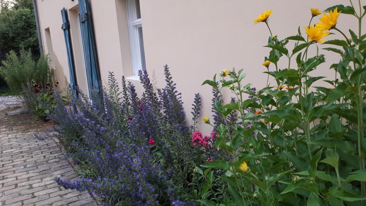 Апартаменты Blumenhaus Фельтен Экстерьер фото