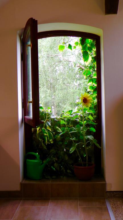 Апартаменты Blumenhaus Фельтен Экстерьер фото